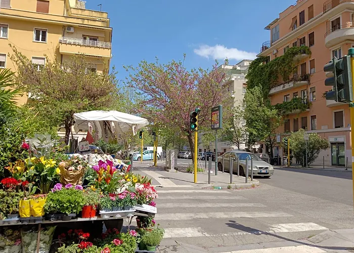 Livorno By Halldis רומא